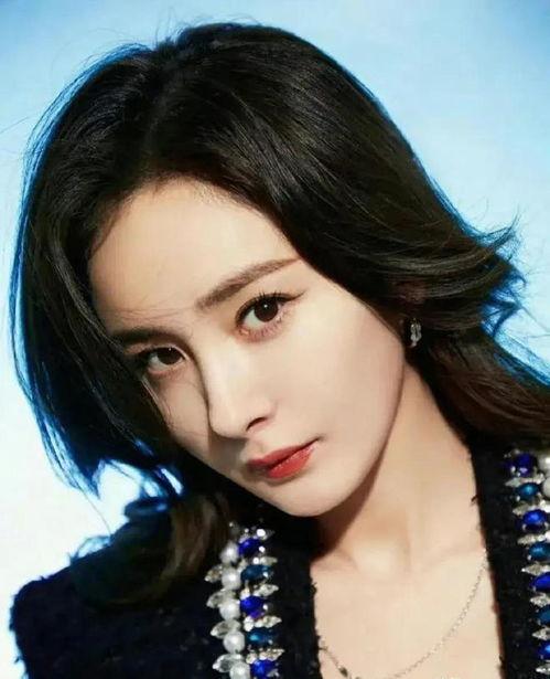 娱乐明星吃瓜最新小说,明星吃瓜大揭秘