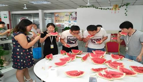 趣味吃瓜比赛作文