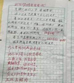 趣味吃瓜比赛作文