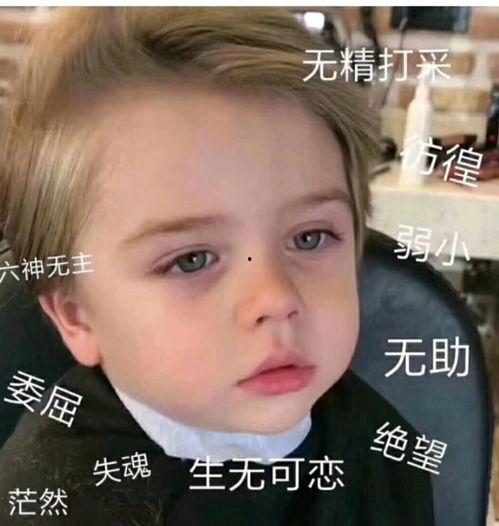 微信表情包中的吃瓜是什么意思,揭秘微信表情包中的吃瓜文化