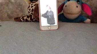 吃瓜娱乐呱,揭秘娱乐圈背后的趣味故事