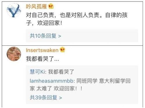 吃瓜猪娱乐学生请假,学生请假背后的故事揭秘