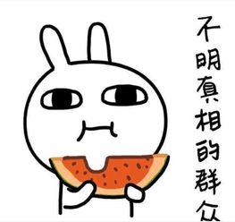 别人回复吃瓜什么意思,揭秘“吃瓜”一词背后的网络文化现象