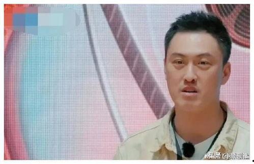 娱乐圈吃瓜爆料特效,吃瓜爆料特效大揭秘！